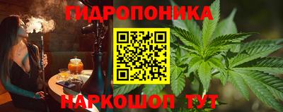 мяу мяу мука Беслан