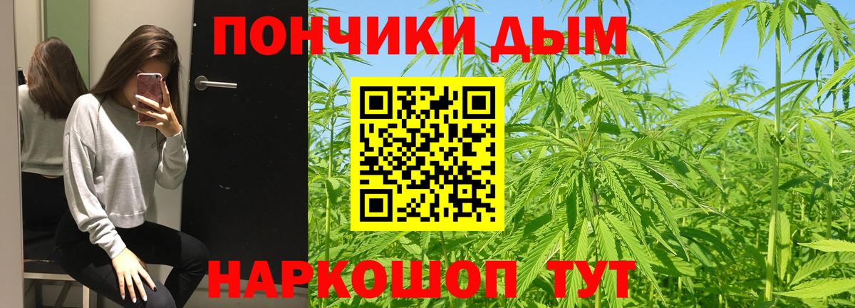 Каннабис конопля  Вход с VPN  Благодарный  Каннабис VHQ  Канабис семена 